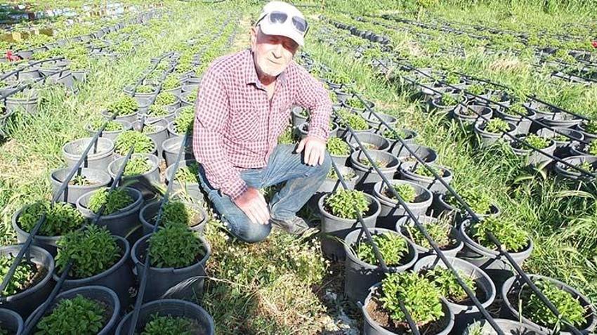 Emekli albay Burhaniye’yi üretim üssü yaptı! 'Köylüye çok güzel para kazandıracak'