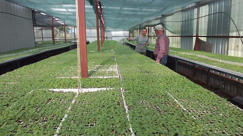 Emekli albay Burhaniye’yi üretim üssü yaptı! 'Köylüye çok güzel para kazandıracak'