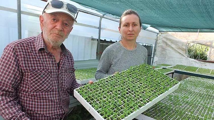 Emekli albay Burhaniye’yi üretim üssü yaptı! 'Köylüye çok güzel para kazandıracak'