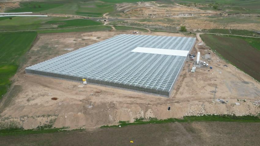 Düşük enerjili cam serada üretiliyor! 'Sıfır pestisitli' domatese Avrupa'dan talep yağıyor