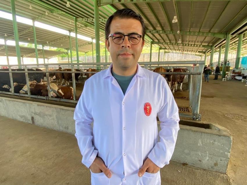 Kurbanlıkta 3 belirti varsa uzak durun! Kurban pazarında belli oluyor