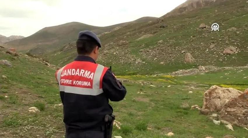7 gün 24 saat başındalar! Arazide yatan servet için Jandarma nöbet tutuyor
