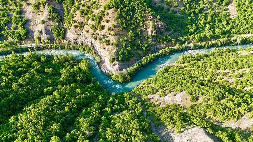 2 bin 250'den fazla bitki tespit edildi: 10 kriterden 6'sını karşılıyor: Munzur Vadisi Dünya kültür mirası listesine girmeye hazırlanıyor