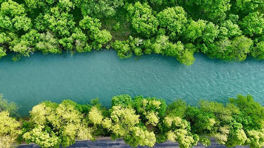 2 bin 250'den fazla bitki tespit edildi: 10 kriterden 6'sını karşılıyor: Munzur Vadisi Dünya kültür mirası listesine girmeye hazırlanıyor