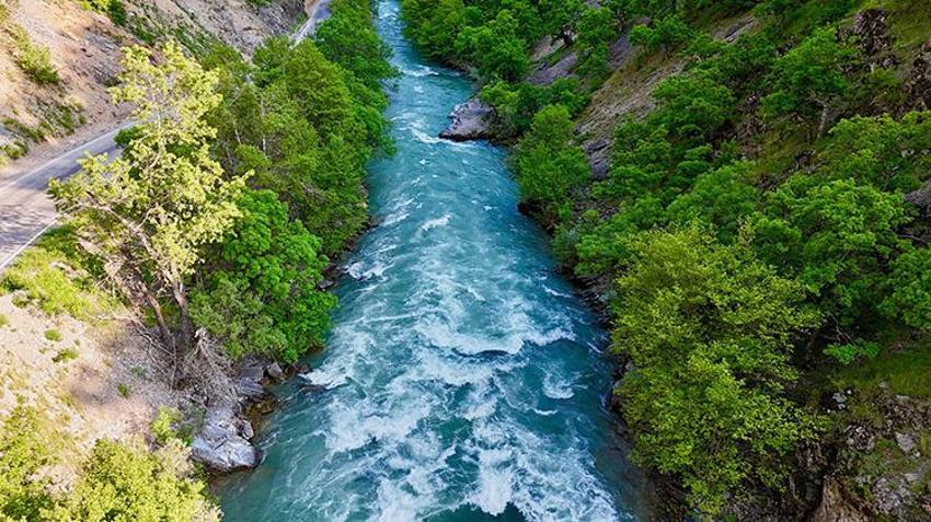 2 bin 250'den fazla bitki tespit edildi: 10 kriterden 6'sını karşılıyor: Munzur Vadisi Dünya kültür mirası listesine girmeye hazırlanıyor
