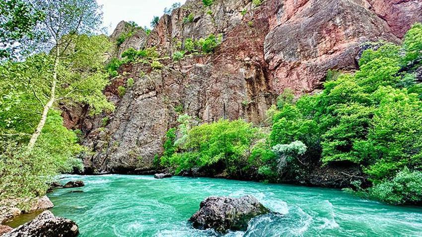 2 bin 250'den fazla bitki tespit edildi: 10 kriterden 6'sını karşılıyor: Munzur Vadisi Dünya kültür mirası listesine girmeye hazırlanıyor