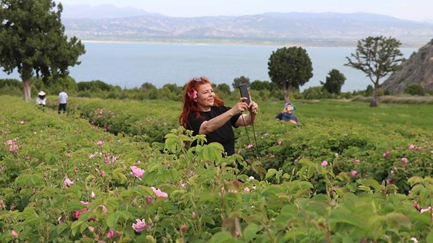 Böyle hasat görülmedi! Burdur'da başlayan hasat yerli ve yabancı turistlerin akınına uğradı