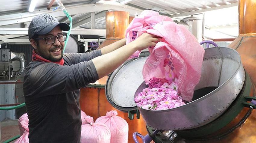 Böyle hasat görülmedi! Burdur'da başlayan hasat yerli ve yabancı turistlerin akınına uğradı