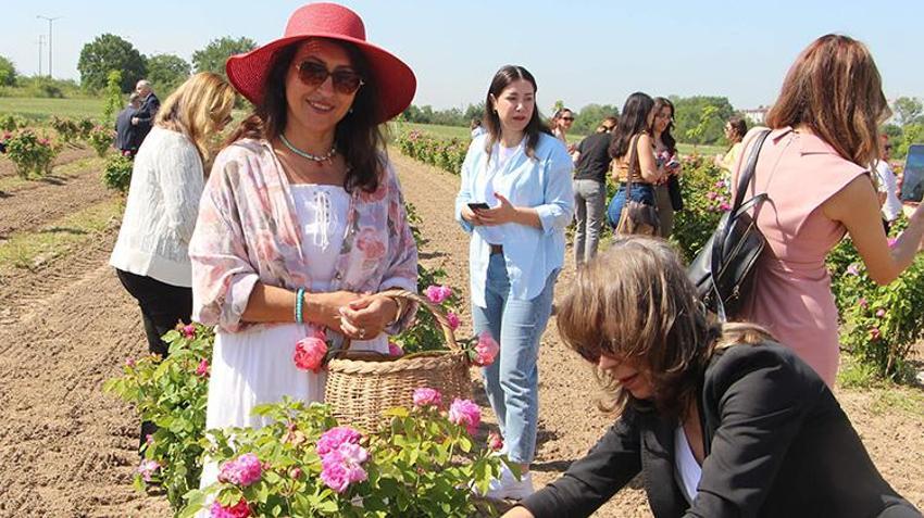 Edirne'de hasat şenliği! 5 yıl önce başladı, simge haline geldi! Hepsi oraya akın etti