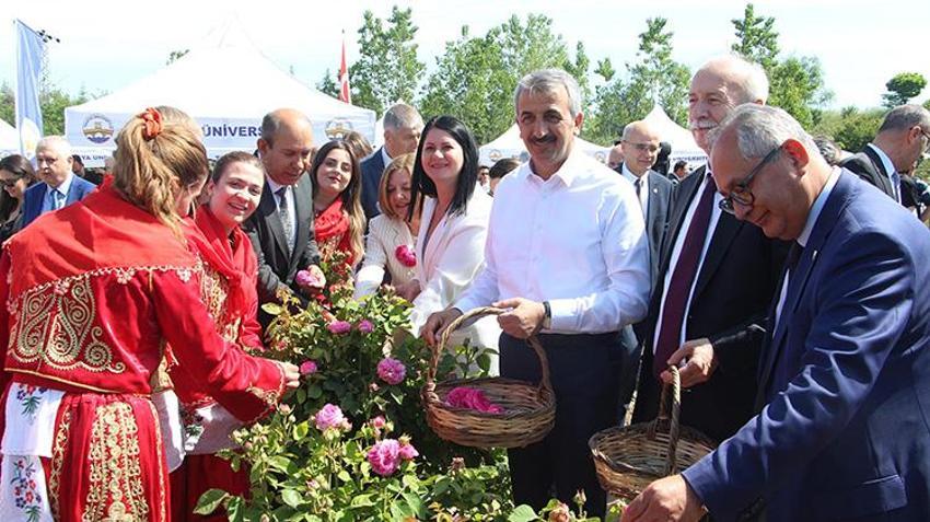 Edirne'de hasat şenliği! 5 yıl önce başladı, simge haline geldi! Hepsi oraya akın etti