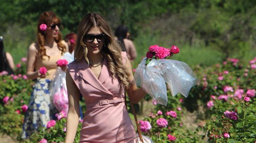 Edirne'de hasat şenliği! 5 yıl önce başladı, simge haline geldi! Hepsi oraya akın etti
