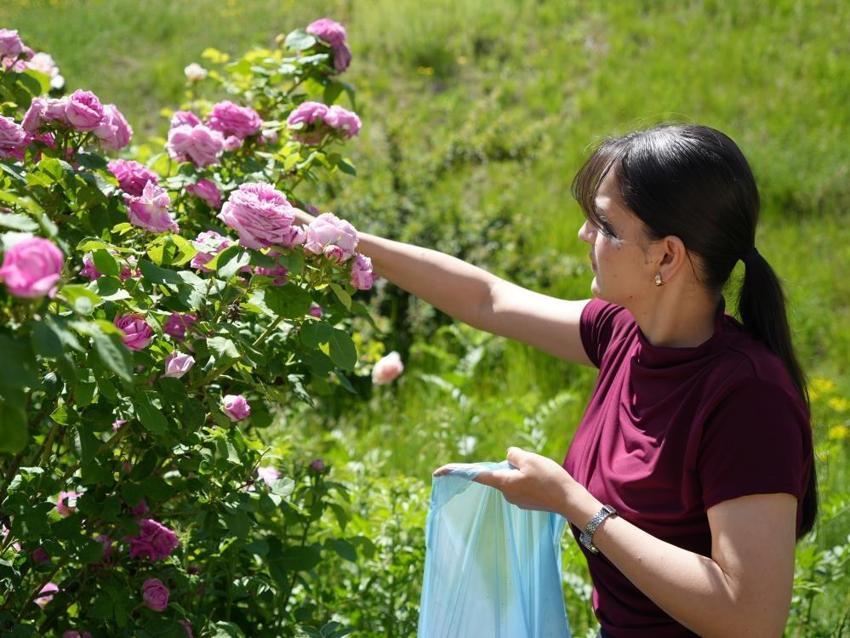 Ağrı Dağı'nda büyüdü üniversitede katma değere kavuştu! Iğdır'da kampüs alanı sanayiye döndü 'Destekçisi biz olduk'