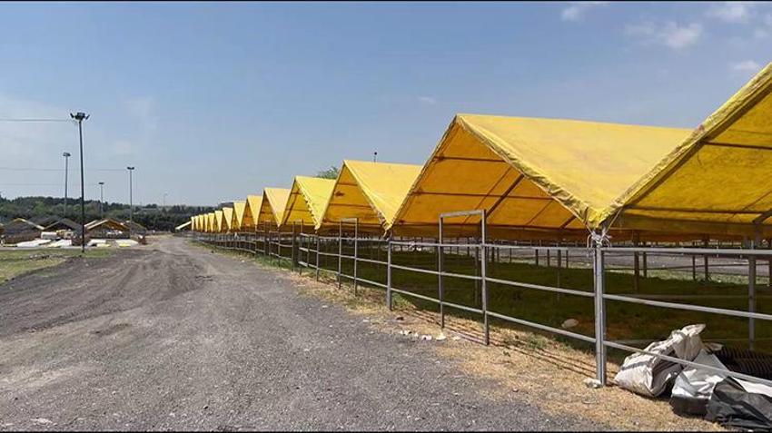 Kurban Bayramı'na sayılı günler kaldı: İlk kurbanlıklar İstanbul'a geldi; ilk satışlar yapıldı