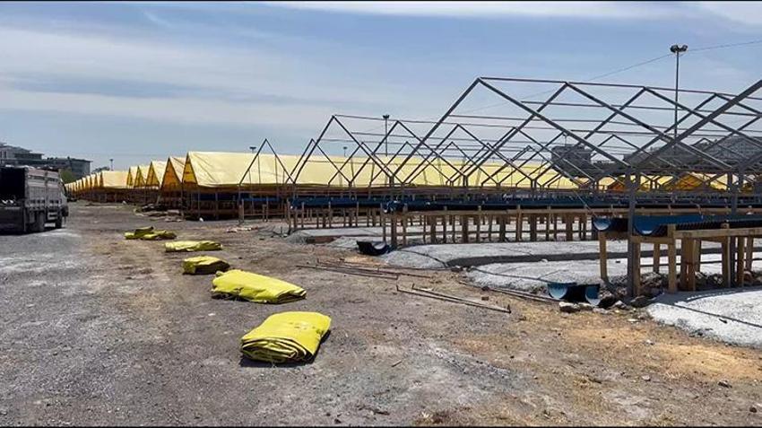 Kurban Bayramı'na sayılı günler kaldı: İlk kurbanlıklar İstanbul'a geldi; ilk satışlar yapıldı