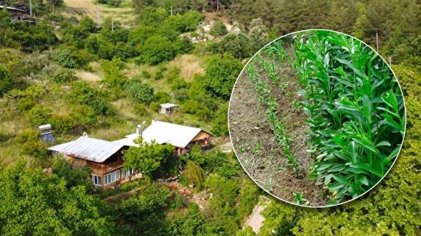 Bu fikir Adana'da seramik sanatçısının aklına geldi! İlk kez denendi, Hollanda onu bekliyor: Kilosu 5 bin Euro satılıyor 
