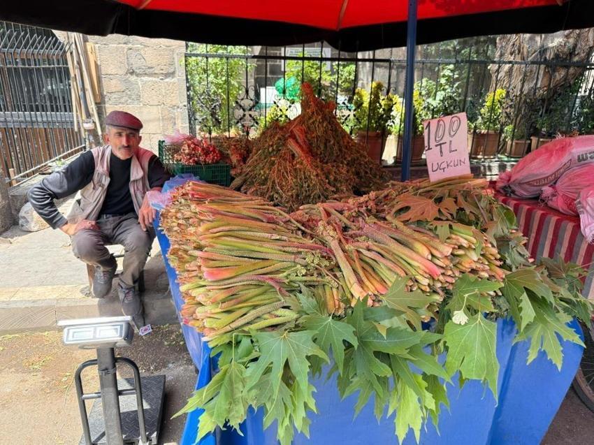 4 farklı adı var ama Diyarbakır'ın Türkiye'ye hediyesi: Dağlarda karların içinde yetişiyor