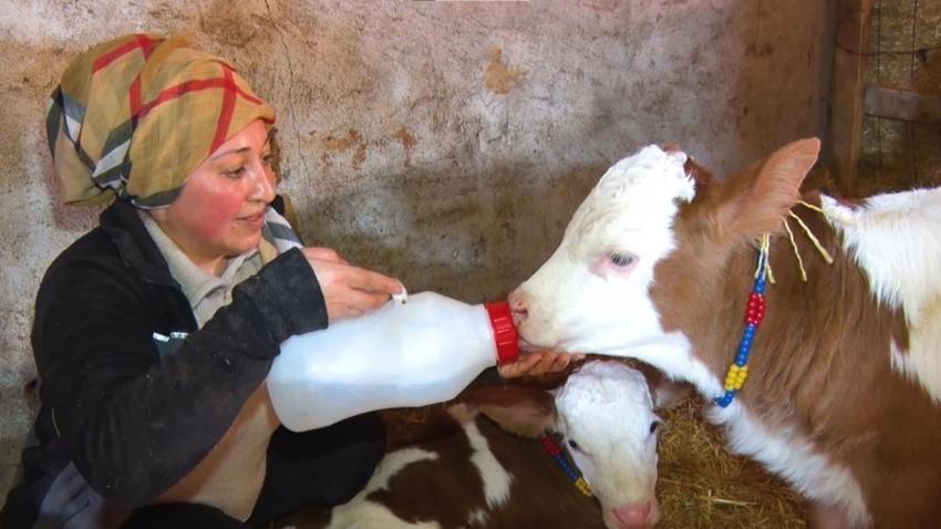 Rüyasında gördüğü işi Ankara'da kurdu! Köyünde 1 tane vardı, şimdi 100'lük oldu 'Tedavisini bile yapıyorum'
