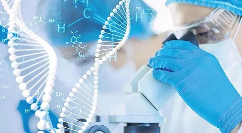Tıpta devrim! Bir insana ilk kez uygulandı: Artık onarılabiliyor