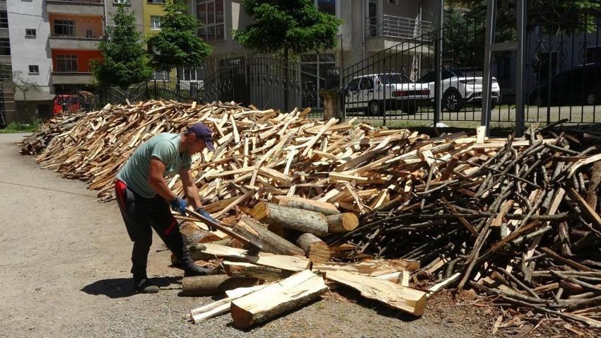 Dünyada hiçbir oduncu onun kadar kazanamaz! Trabzon'da 49 yaşında kendine odundan bir şehir kurdu 
