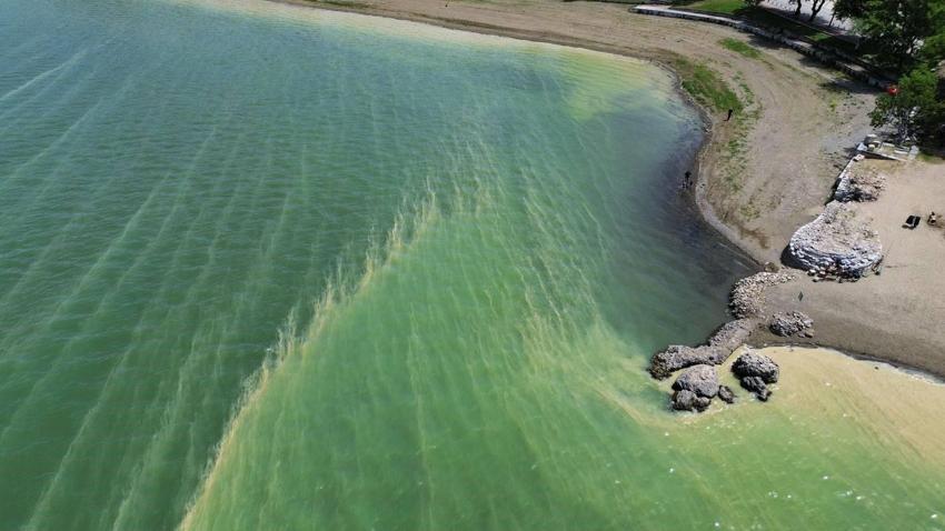 Tarihin ve doğanın başkentinde endişelendiren görüntü! 'İznik gölü can çekişiyor'