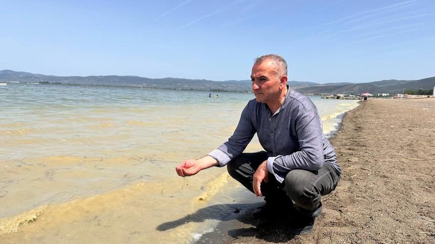 Tarihin ve doğanın başkentinde endişelendiren görüntü! 'İznik gölü can çekişiyor'