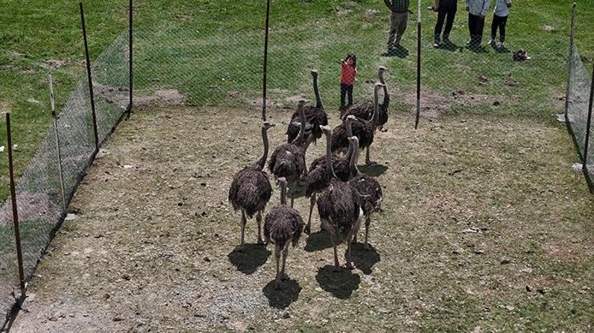 Babasının yıllardır kurduğu hayalini gerçekleştirdi! Sivas'ta bir ilke imza attı