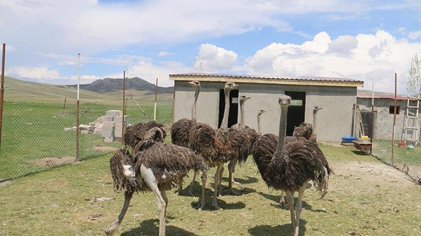 Babasının yıllardır kurduğu hayalini gerçekleştirdi! Sivas'ta bir ilke imza attı