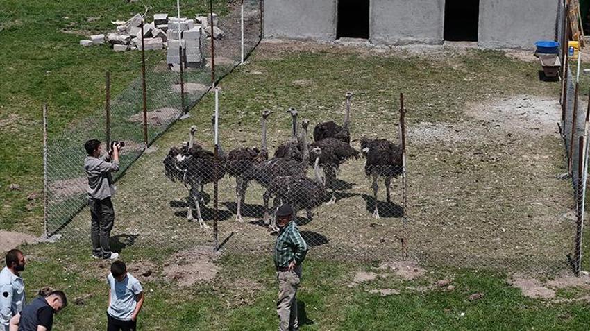 Babasının yıllardır kurduğu hayalini gerçekleştirdi! Sivas'ta bir ilke imza attı