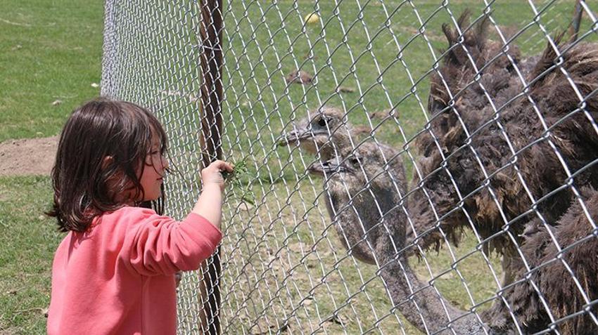 Babasının yıllardır kurduğu hayalini gerçekleştirdi! Sivas'ta bir ilke imza attı