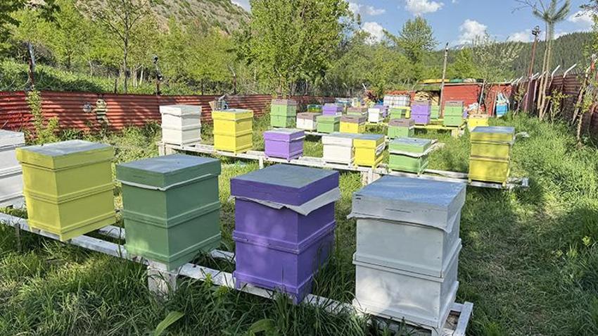 Artvinli kadın ailesi için üretim yapmaya başladı! Şimdi şehir dışına satıyor