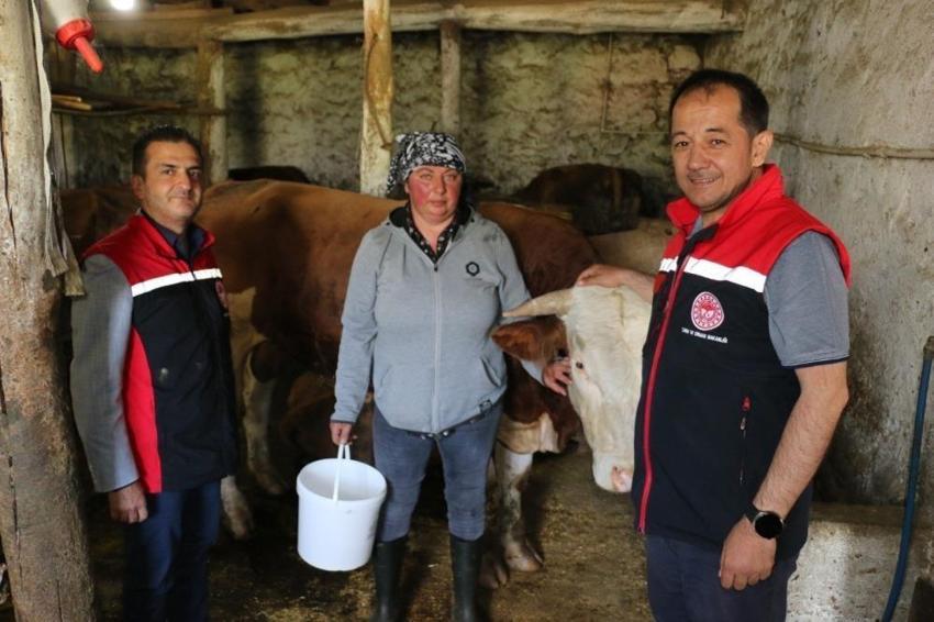 Gürcistan'dan Erzincan'a geldi! Çiftçiliği öğrenen kadın, tarıma değer katıyor
