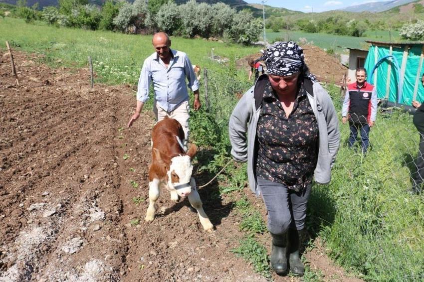 Gürcistan'dan Erzincan'a geldi! Çiftçiliği öğrenen kadın, tarıma değer katıyor