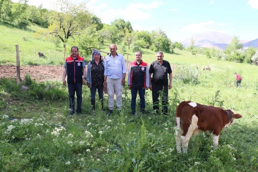 Gürcistan'dan Erzincan'a geldi! Çiftçiliği öğrenen kadın, tarıma değer katıyor