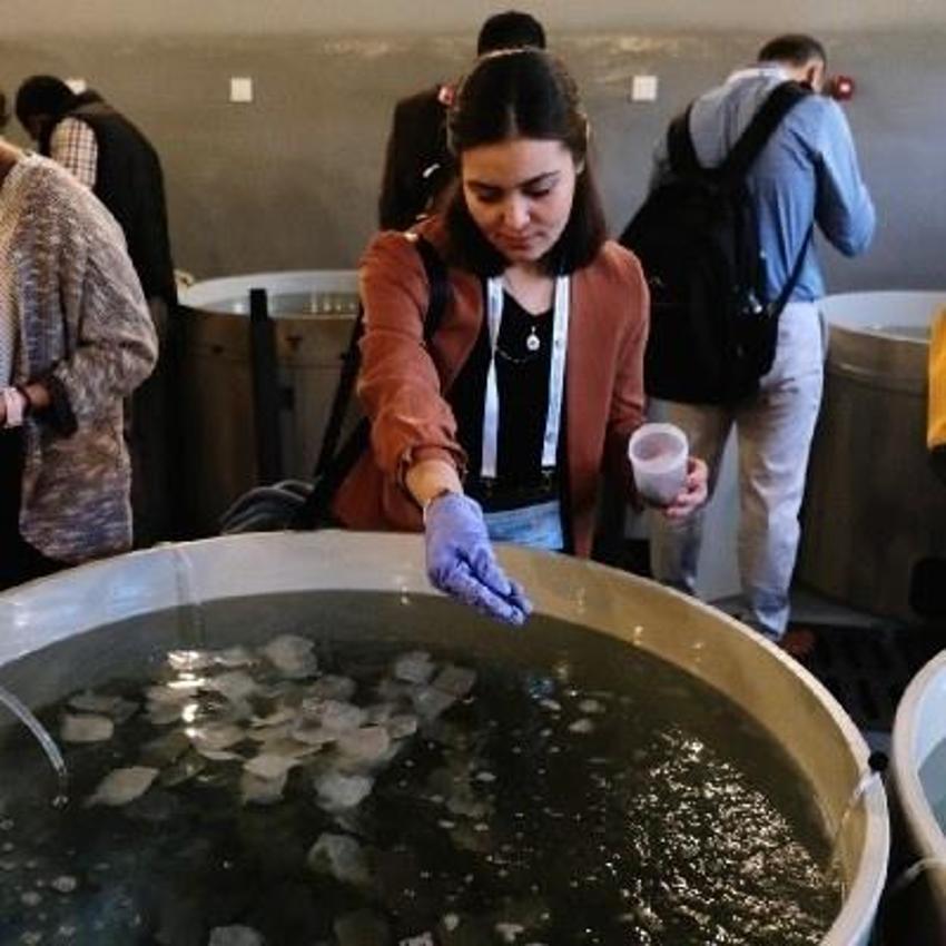 Bilim dünyasına kazandırıldı! Ege'de keşfedildi: Türkiye denizlerinde ilk kez görüldü
