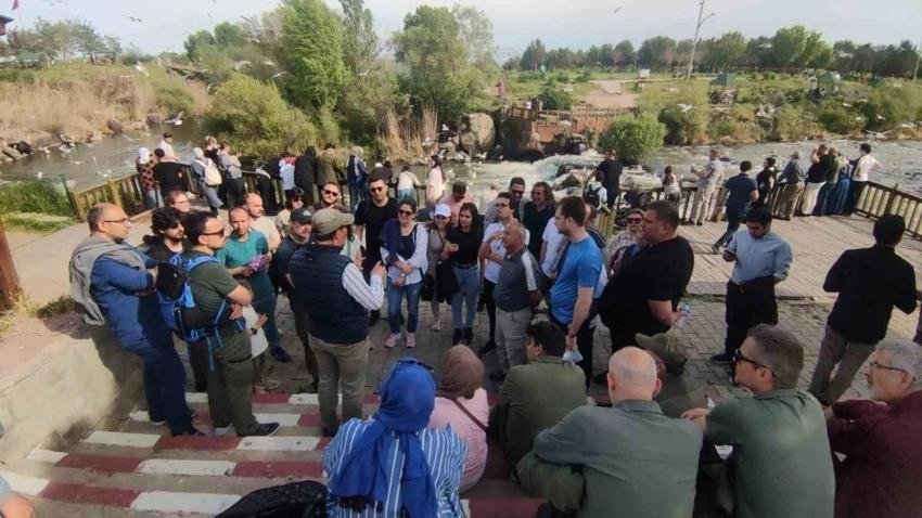 Bilim dünyasına kazandırıldı! Ege'de keşfedildi: Türkiye denizlerinde ilk kez görüldü
