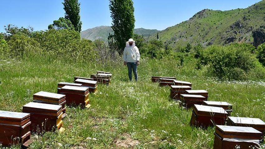 Önce Londra şimdi de Paris! Bitlis, Avrupa'da üst üste ikinci zaferini göğüsledi