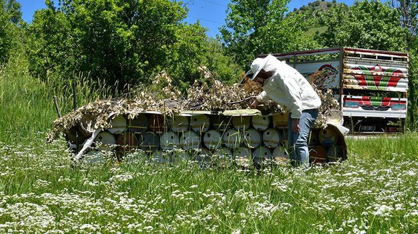 Önce Londra şimdi de Paris! Bitlis, Avrupa'da üst üste ikinci zaferini göğüsledi