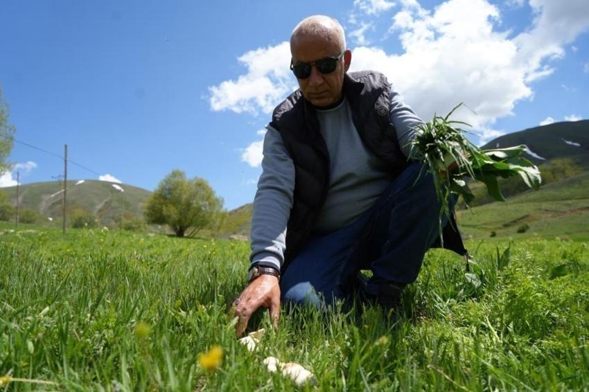 Bu sevginin önüne ne ayı ne kurt geçebiliyor! Bayburt'ta zorlu mesai başladı