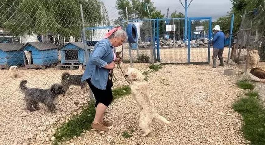 Emekli Hayvanlar Çiftliği'nde sıradan bir gün: Günübirlik sahiplenme başladı