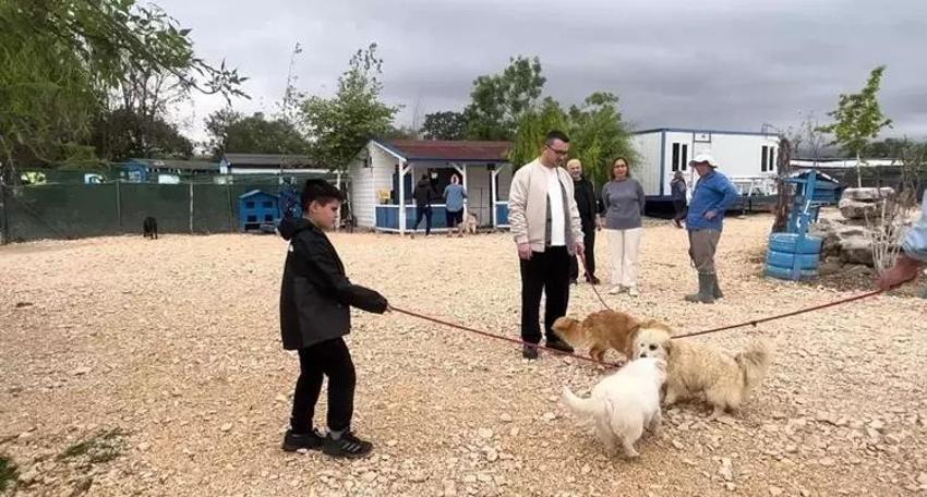 Emekli Hayvanlar Çiftliği'nde sıradan bir gün: Günübirlik sahiplenme başladı