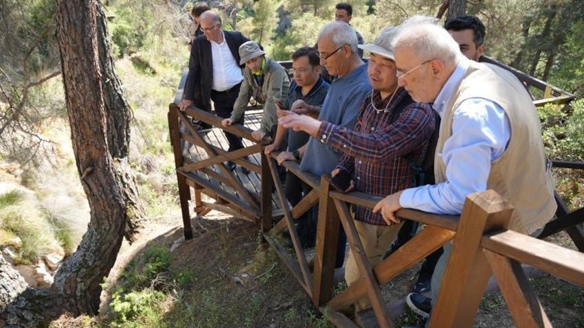 Balıkesir bilim dünyasının gündeminde! Çalışma 20 yıldır sürüyordu: Japon bilim adamı açıkladı

