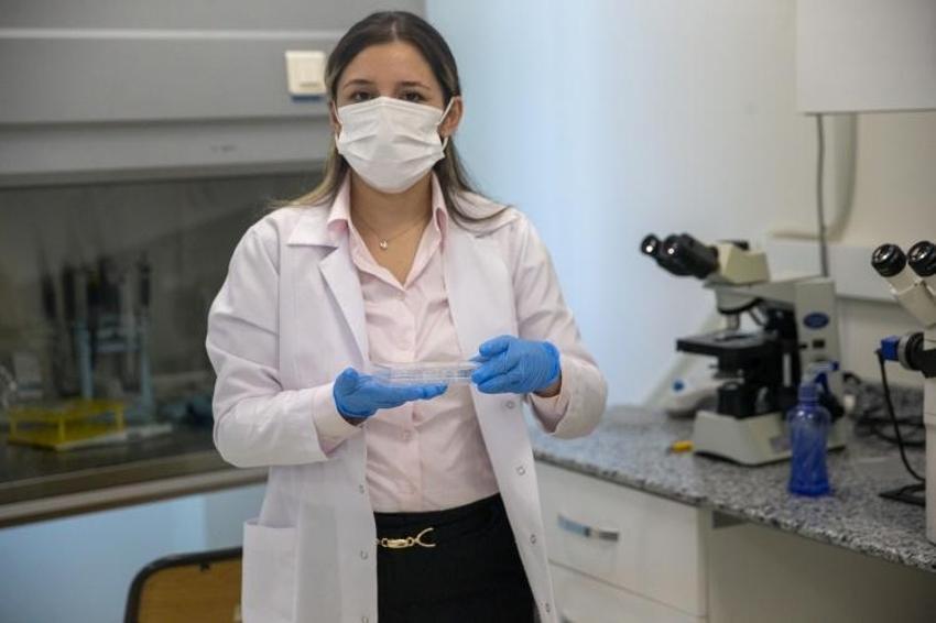 Kimyasalı yok, çocuklar da kullanabilecek! Bolu'da akademisyenler geliştirdi: İçeriğinde Bor madeni ve biberiye özü var
