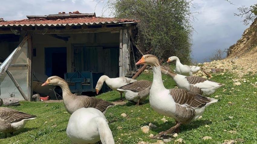 Makinesini Adana'dan aldı, üretimi Kars'ta yapıyor! Bu sayede dönerciliği bıraktı: Fabrikasını kurdu '40 tonu yurt dışına gidiyor'
