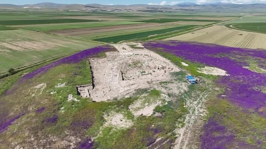 Kazı alanına geldiklerinde karşılaştılar! Bilim insanlarının çevresini sardı: Sırrı araştırılıyor