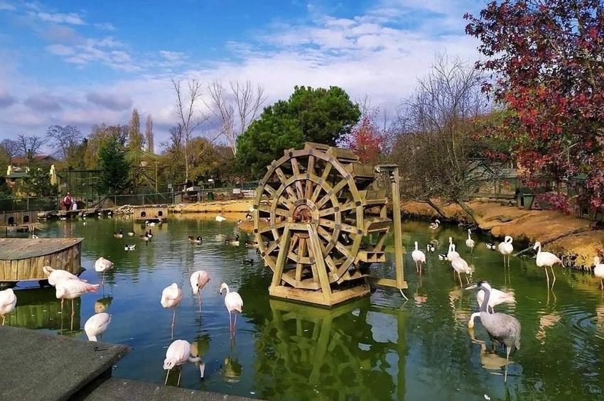 Kurban kestikten sonra İstanbul'da gezilecek yerler! İstanbul'da bayramda nereye gidilir?