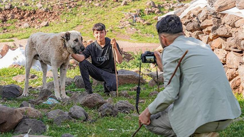 Diyarbakır'ın saklı güzelliklerini koyun güderken keşfetti! Her şey 2 yıl önce aldığı kararla değişti