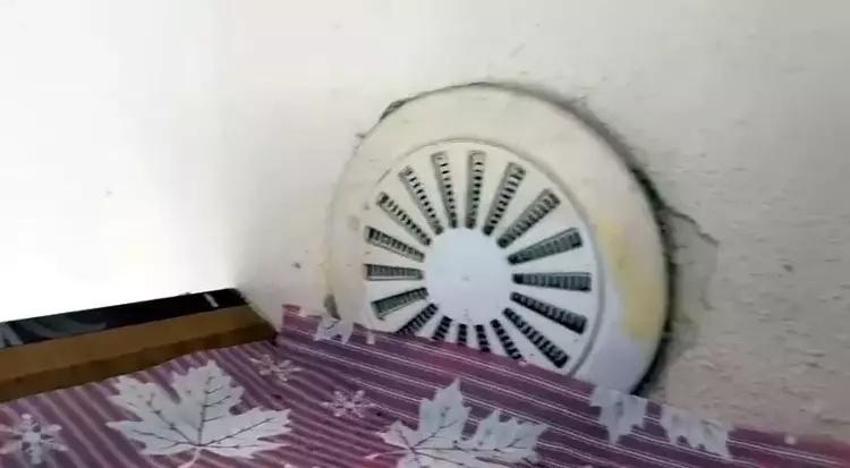 İneğin tüyünü koparıp yuva yaptılar! Cüce kargalar evin bacasını böyle işgal etti