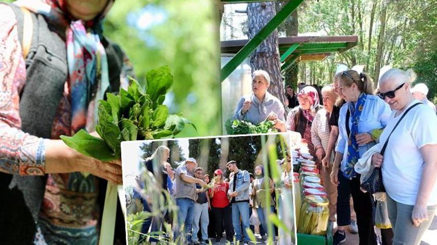 Samsun'da gastronomi meraklılarını buluşturan festival: 1800 farklı çeşit, 4 gün boyunca sürecek lezzet şöleni