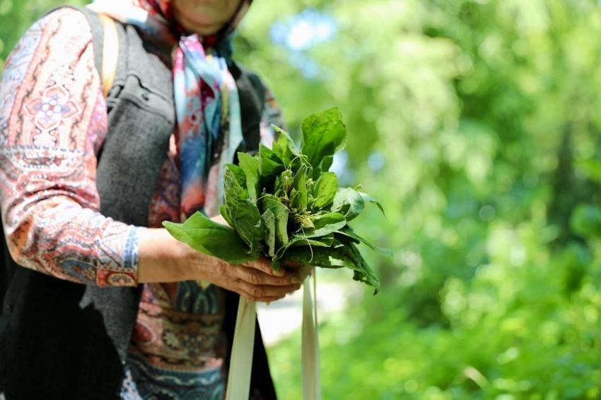 Samsun'da gastronomi meraklılarını buluşturan festival: 1800 farklı çeşit, 4 gün boyunca sürecek lezzet şöleni