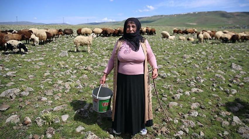 İstanbul'u terk edip köyüne yerleşti! Devlet desteğiyle Erzurumlu ailenin hayatı değişti
